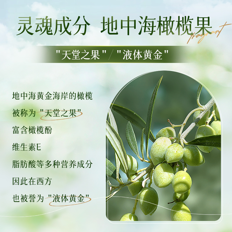 卡伊莲橄榄滋润去屑洗发水男女正品家庭大桶装洗头膏官方旗舰