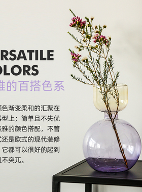 wvii简约风玻璃客厅摆件花瓶
