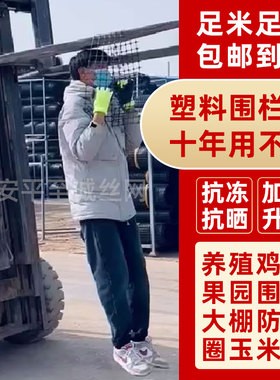 养殖网围栏网圈玉米网果园栅栏围挡圈养鸡围栏网防护隔离网塑料网