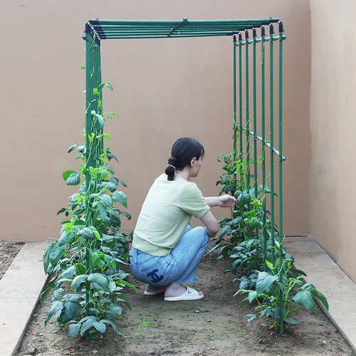 四季豆架杆黄瓜豆角蔬菜爬藤架种菜番茄西瓜支撑杆植物棚搭花架子 - 图0