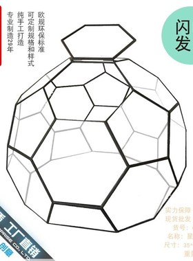 微景观雨林玻璃罩几何花房装饰y摆件办公室造景生态瓶星球形花器