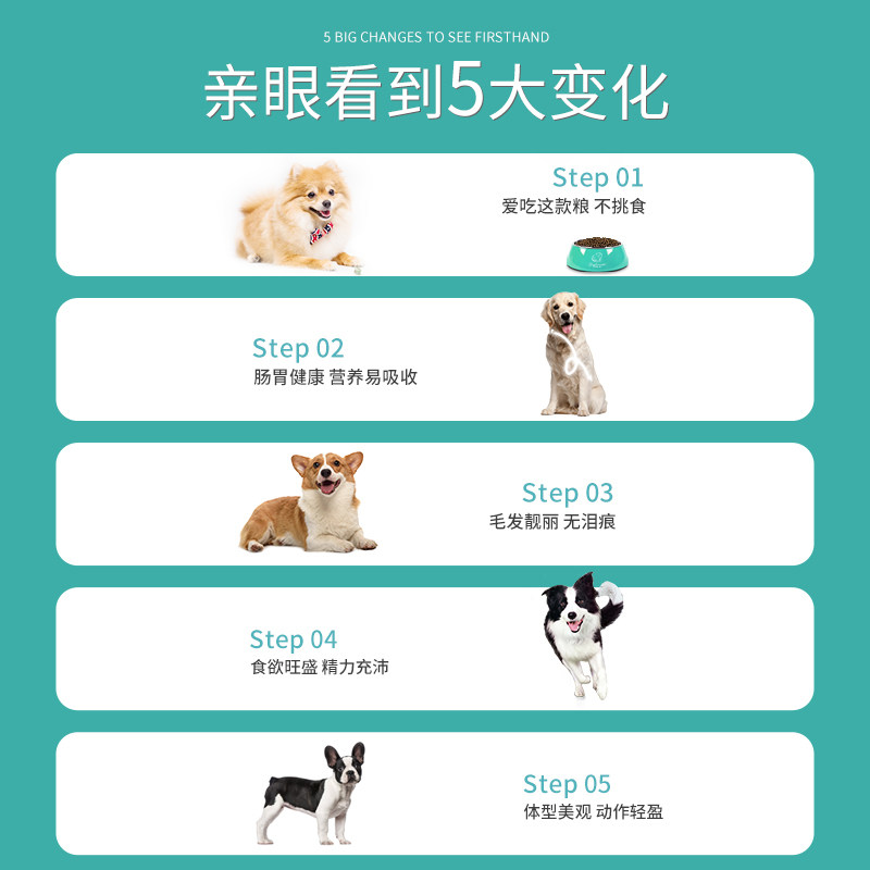 汪汪爱上比熊柯基专用小型犬猫狗粮 汪汪爱上猫犬主粮