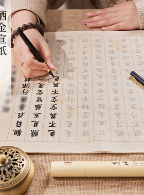 般若菠萝蜜多静心临摹作品纸