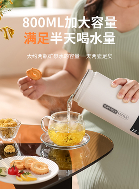 电炖杯多功能电热水杯小型养生杯便携式煮茶壶宿舍煮粥炖煮一体壶
