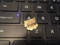 (Lingang loft) Express insignia Olympic Committee of the old fashioned Aulianz NO FRONT SUBS INSIGNIA C Dont pin front Su Badge