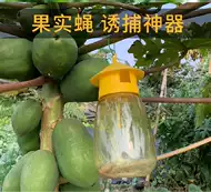 驱虫药水 新人首单立减十元 21年9月 淘宝海外