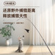 Funny Cat Stick 1.8m long pole is a self-pleasure and boredom relief artifact