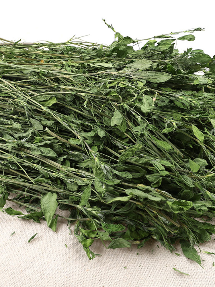绿色新苜蓿烘烤紫花苜蓿草干草兔粮兔子龙猫粮食荷兰猪兔草饲料 - 图0