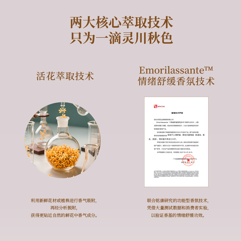 CITTA西苔灵川金桂圆形香氛蜡片桂花香片衣柜除味香挂持久留香,淘宝优惠券,粉丝福利购,淘宝优惠卷