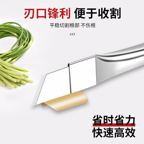 蒜苔收割刀拔蒜苔工具蒜薹刀加长不锈钢抽蒜苔打蒜苗划剥蒜苔神器 - 图0