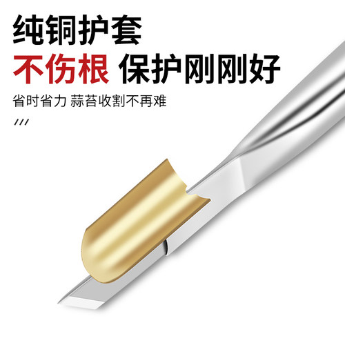 蒜苔收割刀拔蒜苔工具蒜薹刀加长不锈钢抽蒜苔打蒜苗划剥蒜苔神器 - 图1