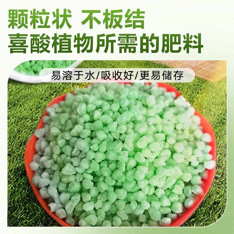 硫酸亚铁肥料花卉专用水溶肥柠檬酸通用型营养液栀子花铁树防黄叶,淘宝优惠券,粉丝福利购,淘宝优惠卷