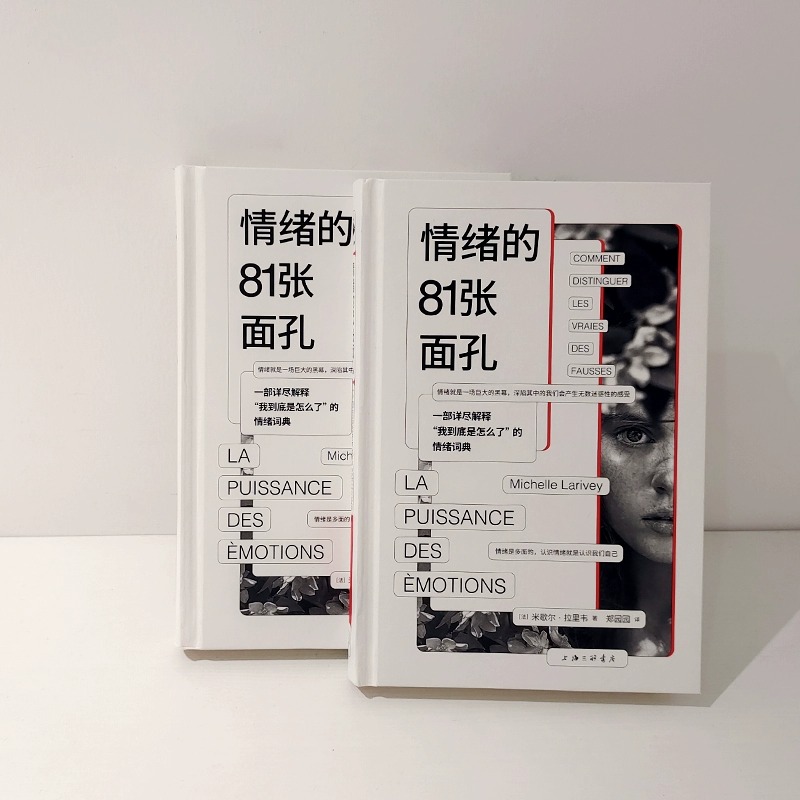 情绪的81张面孔 详尽解释我到底是怎么了的情绪词典快乐焦虑紧张后悔可怜矛盾头痛 米歇尔·拉里韦 情绪控制心理咨询精神创伤pua - 图0