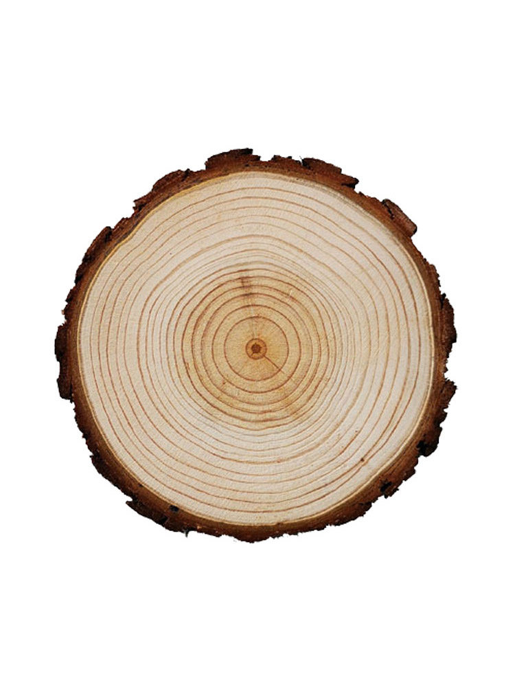  文轼其他手工制作