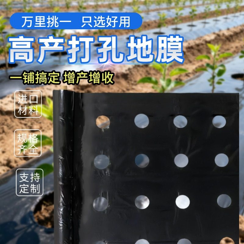 打孔地膜农用种植种菜专用塑料薄膜防草有孔黑地膜辣椒大蒜玉米,淘宝优惠券,粉丝福利购,淘宝优惠卷