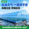 Greenhouse plastic film thickened agricultural film anti-aging plastic cloth high transmittance po film drip-free film special longevity film