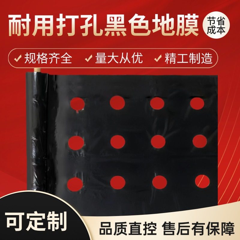 打孔地膜农用种植种菜专用塑料薄膜防草有孔黑地膜辣椒大蒜玉米,淘宝优惠券,粉丝福利购,淘宝优惠卷