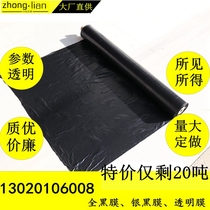 Black Agricultural Insulated Mulch Black Mulch White Mulching Film Strawberry Plastic Greenhouse Membrane Fruit Tree Canopy Grass