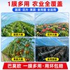 Greenhouse plastic film thickened agricultural film anti-aging plastic cloth high transmittance po film drip-free film special longevity film