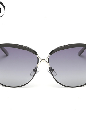 新款时尚女士偏光渐变女款T大框墨镜潮女