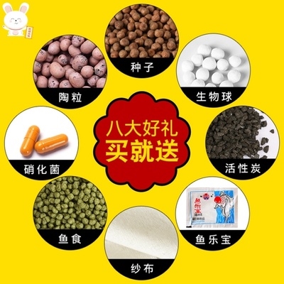 水菜种 新人首单立减十元 21年9月 淘宝海外