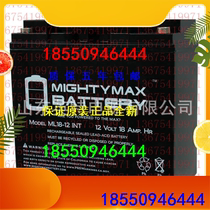 Sales of MIGHTYMAX BATTERY storage battery Model ML18-12INT 12V18AH Vikless battery