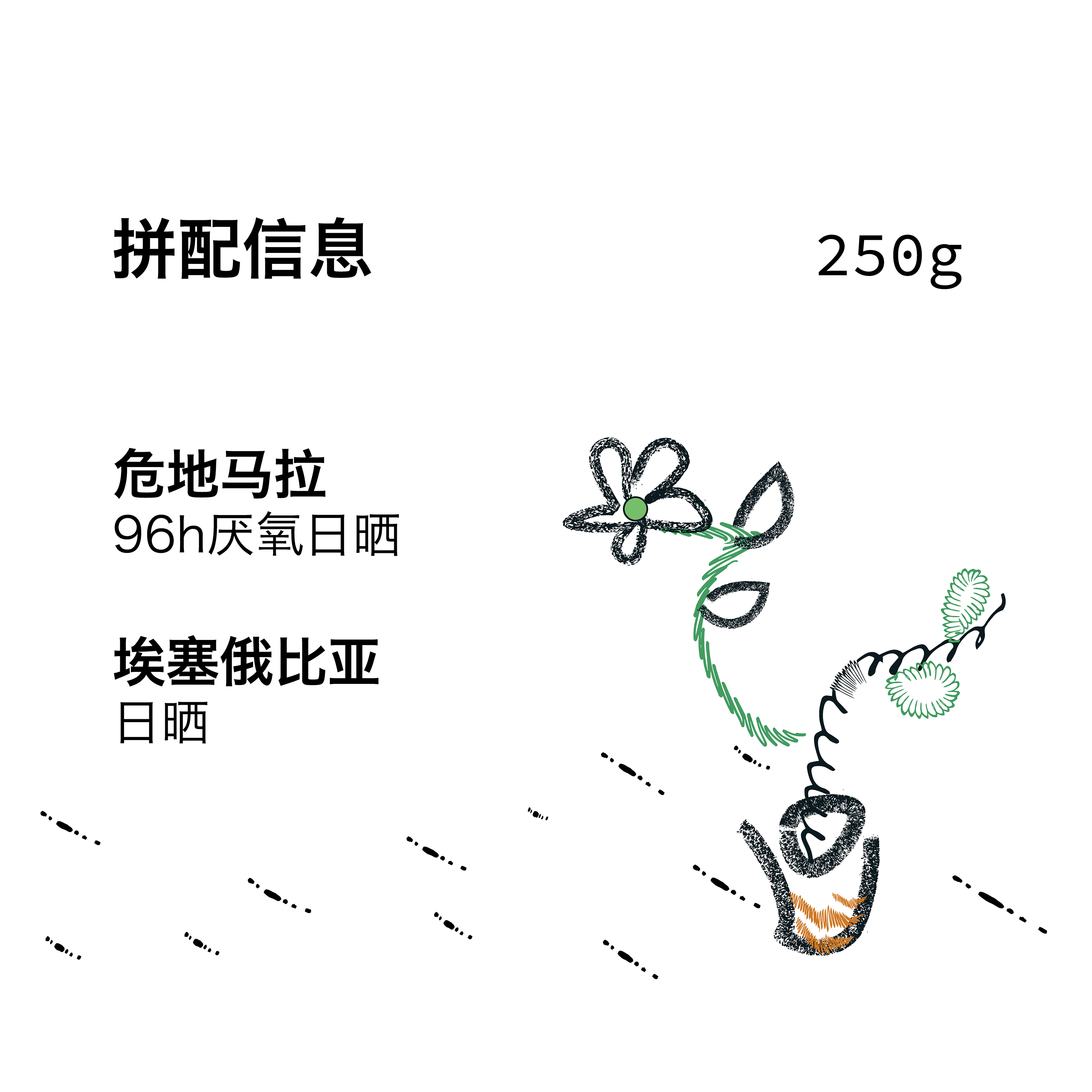 Bravo博馥香槟星拼配精品意式浓缩咖啡豆商用黑咖啡奶咖专用250g - 图0