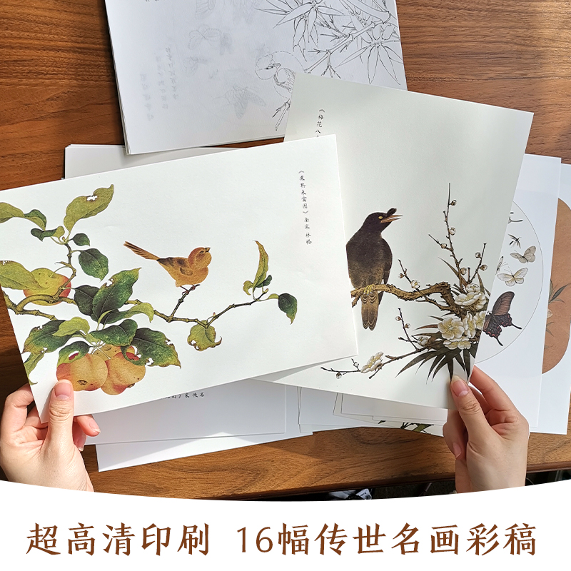 工笔画描摹设色 古画晴鸾帖 工笔设色线描画集 宋画花鸟画白描底稿 国画临摹画册 画画入门自学零基础 工笔画入门教材书