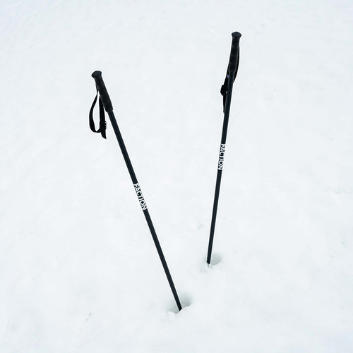 【2526】FACTION Lite 铝合金滑雪杖双板装备自由式人工学滑雪杆 - 图1