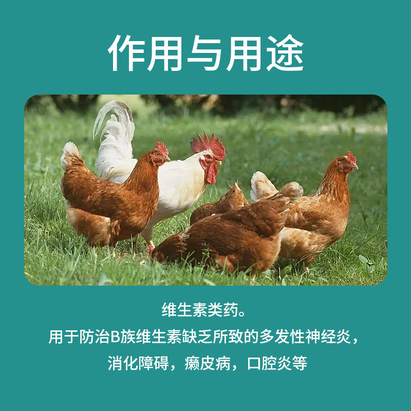 复合维生素B可溶性粉兽用正品鸡鸭禽补充B2B1族口腔炎神经炎兽药