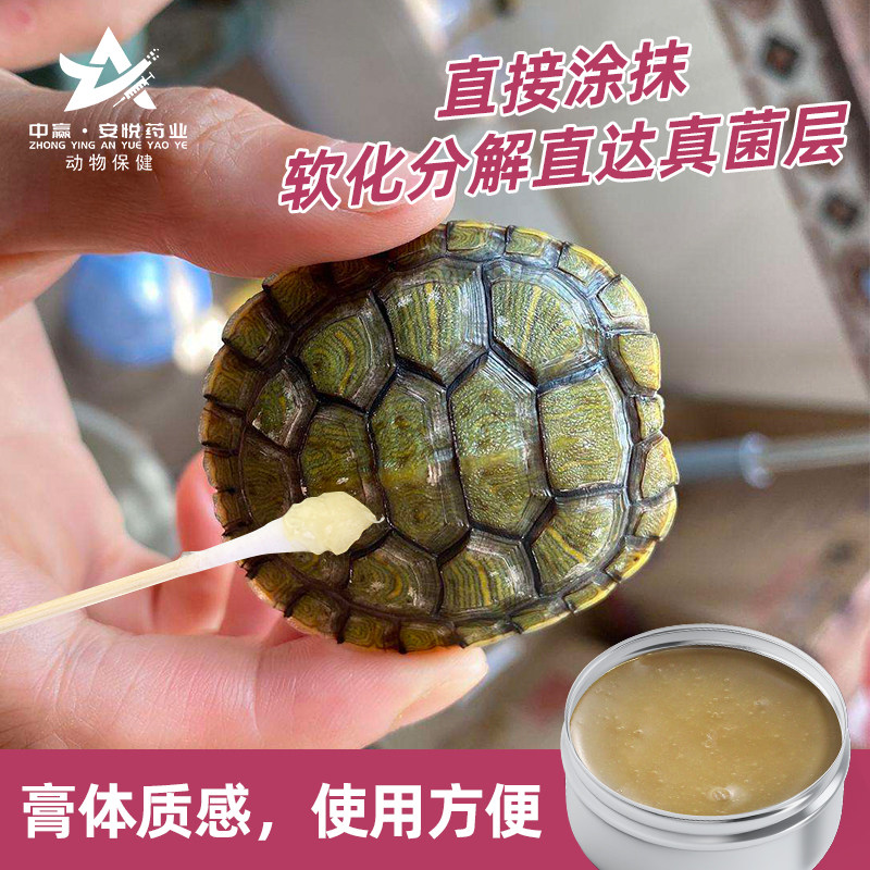 中赢制药乌龟真菌净治疗龟甲真菌感染发白长毛陆龟水龟白点白斑病_虎窝淘