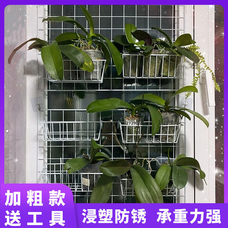 铁艺网格多肉植物花架多层盆栽置物架阳台壁挂蝴蝶兰花盆专用花架,淘宝优惠券,粉丝福利购,淘宝优惠卷
