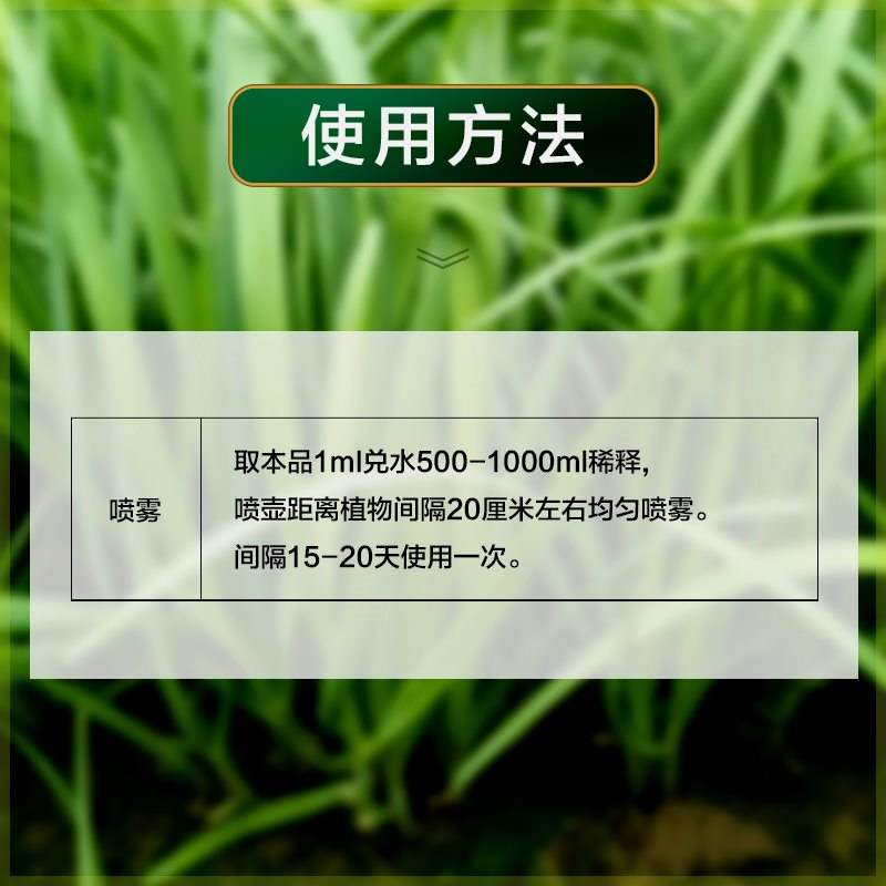 耕农人韭葱蒜干尖灵大葱姜黄叶烂根干尖棵专用中量元素水溶肥料 - 图2