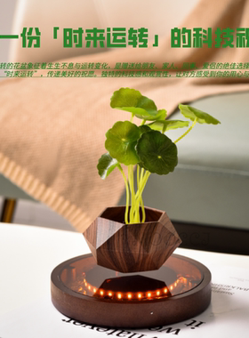 磁悬浮绿植盆栽创意家居摆件