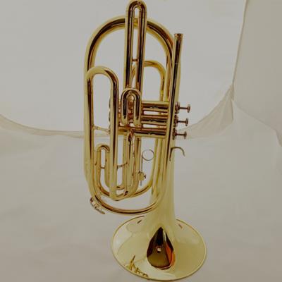 High-end Manufacturer Atlantic Brass Instruments Travel Long Number of B Bass Trumpet Beginners Entrance Examination Band Entertainment