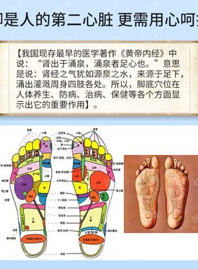 圆形指压板训练触觉脚底