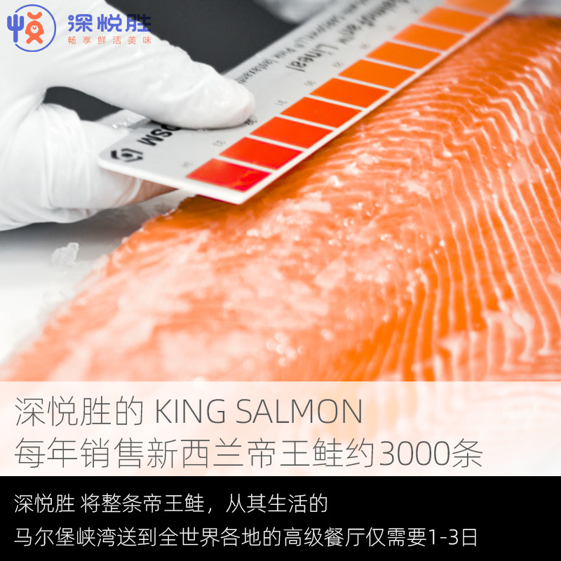 深悦胜新西兰进口帝王6-9斤一刺身 深悦胜食品三文鱼