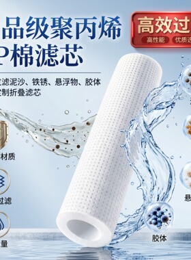 304不锈钢保安过滤器袋式卡箍式精密前置过滤器工业家用净水设备