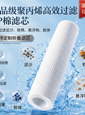 304不锈钢精密保安过滤器袋式卡箍法兰式工业家用前置净水处理器