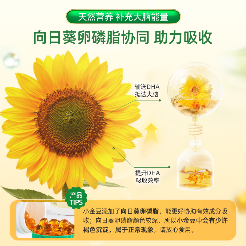 Childlife Soft Capsules Algae Oil DHA