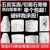 Single Five Officials Plaster Statue Geometry Five Guan Plaster Teaching Aids Fine Art Vegetarian Depictions Raw Gypsum Five Official Real Surfaces