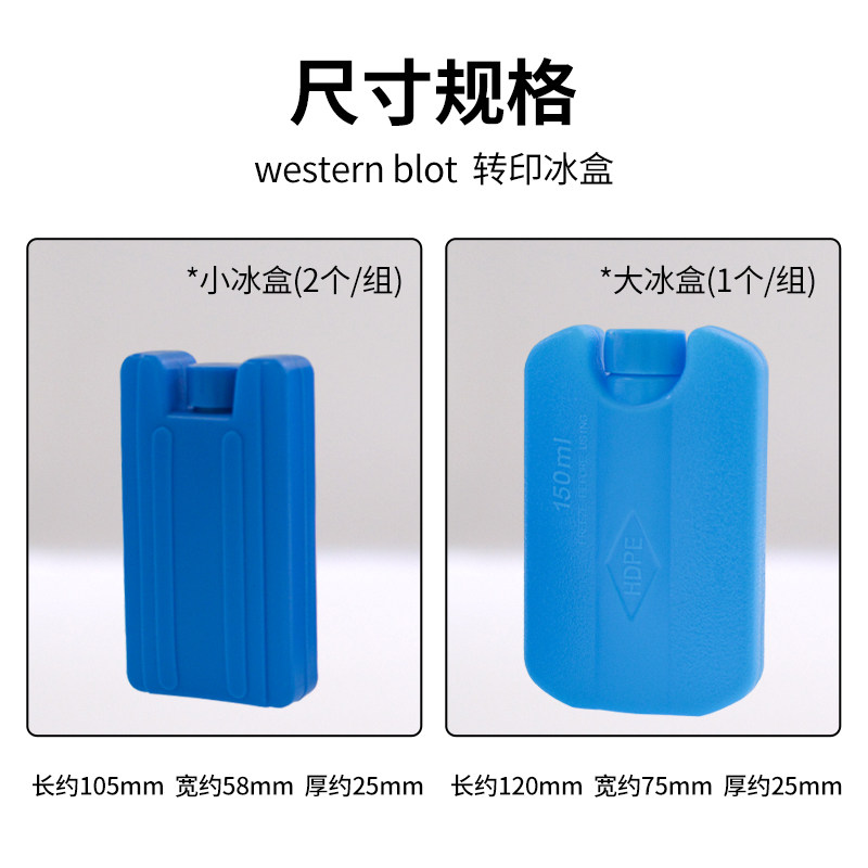 锡萌 Western blot 转印冰盒WB电转小冰盒 电转转膜湿转冰袋 通用bio-rad伯乐/天能电泳配件耗材 实验室冰盒,淘宝优惠券,粉丝福利购,淘宝优惠卷