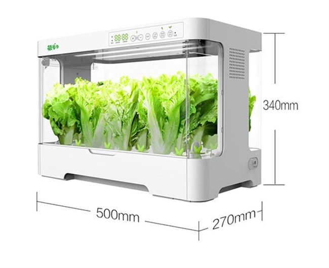 芽苗菜机 新人首单立减十元 21年8月 淘宝海外