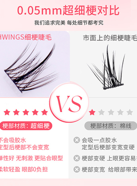 LASHWINGS貂绒丝懒人睫毛