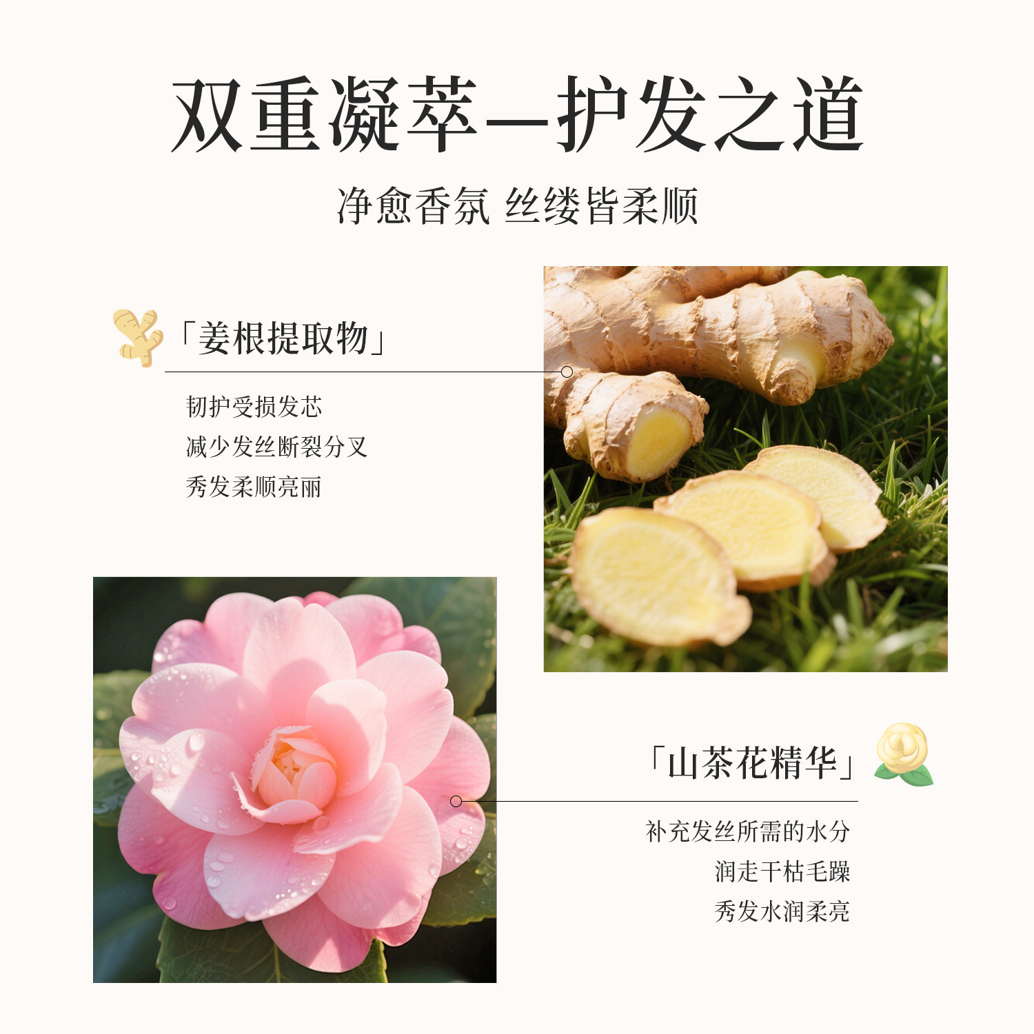叶蔻强韧顺滑生姜护发素毛躁干枯分叉大容量润发乳女家庭装1kg,淘宝优惠券,粉丝福利购,淘宝优惠卷