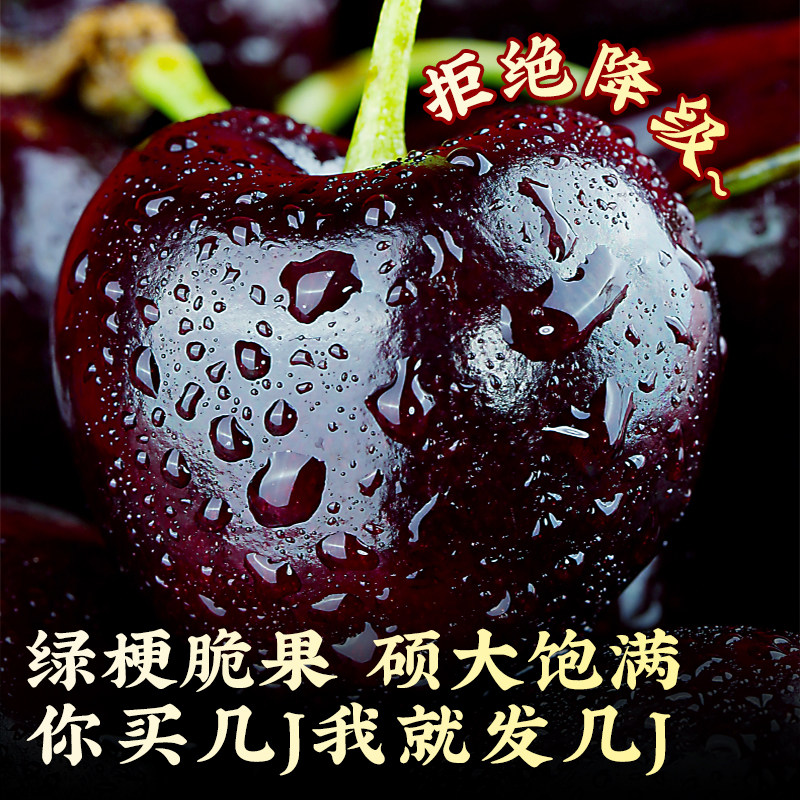 智利进口车厘子礼盒包邮桑提娜大5斤3j4j5j新鲜樱桃拉宾水果旗舰,淘宝优惠券,粉丝福利购,淘宝优惠卷