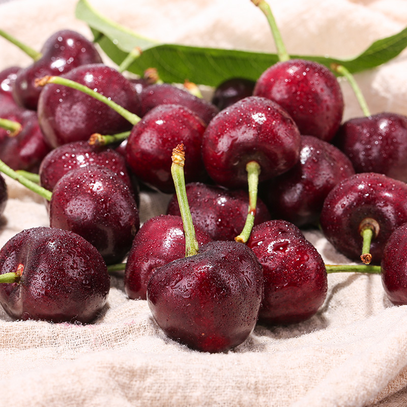  阳山杨氏车厘子/樱桃