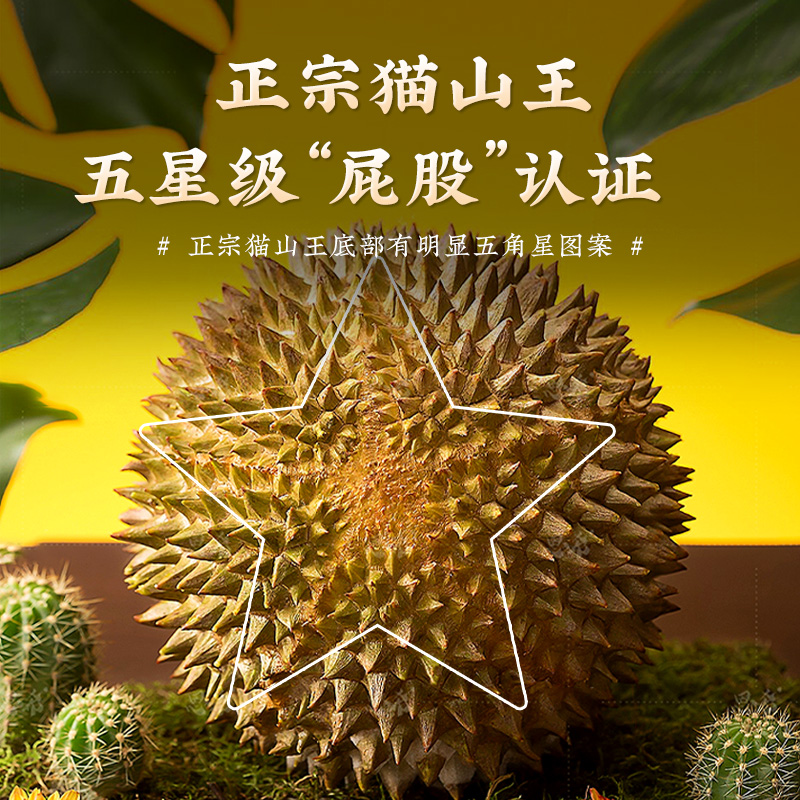 马来西亚进口猫山王榴莲正品D197顺丰包邮新鲜液氮冷冻水果旗舰店 - 图2