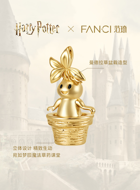 Fanci范琦×哈利波特联名系列diy