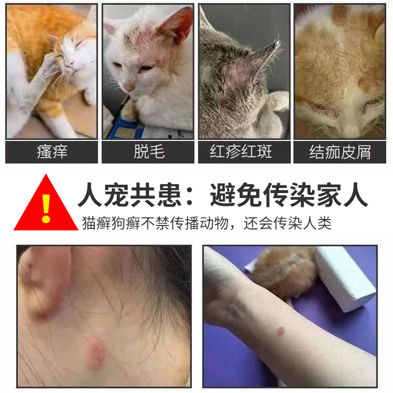 狗狗驱虫药浴杀跳蚤虱子蜱虫专用猫咪体外去虫除螨止痒宠物洗澡液 - 图1